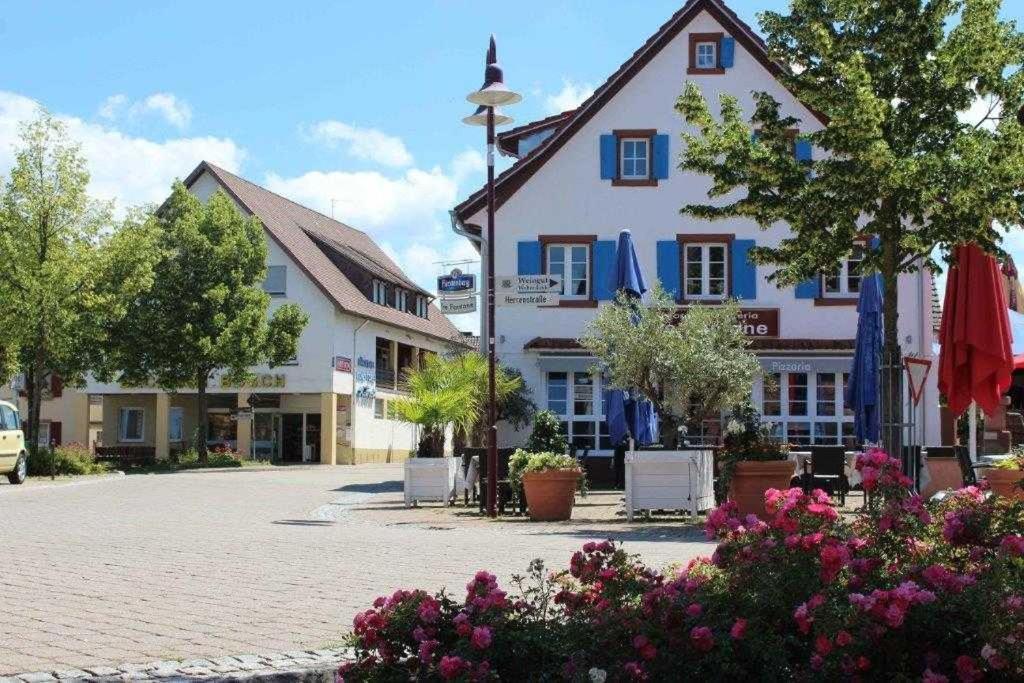 Hug Apartment Ringsheim